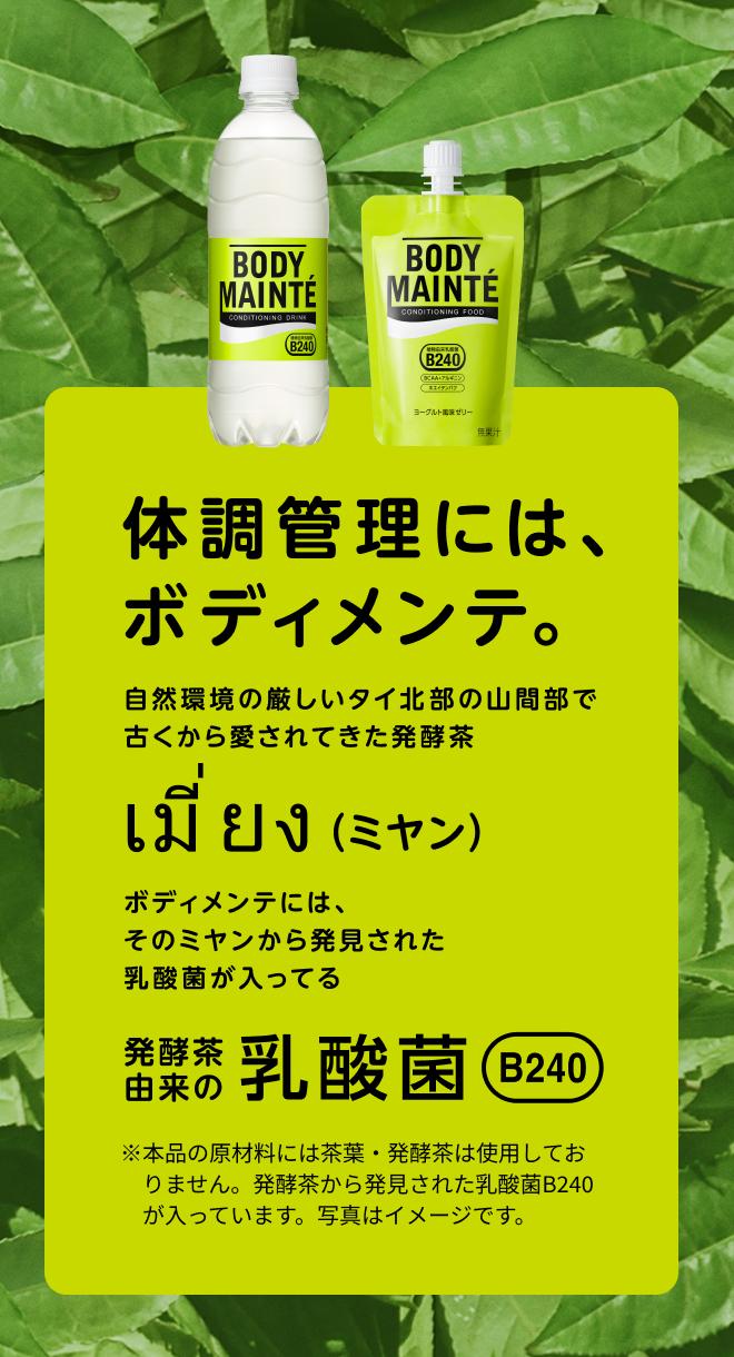 体調管理には、ボディメンテ。自然環境の厳しいタイ北部の山間部で古くから愛されてきた発酵茶ミヤン。ボディメンテには、そのミヤンから発見された乳酸菌が入ってる。発酵茶由来の乳酸菌B240 ※本品の原材料には茶葉・発酵茶は使用しておりません。発酵茶から発見された乳酸菌B240が入っています。写真はイメージです。
