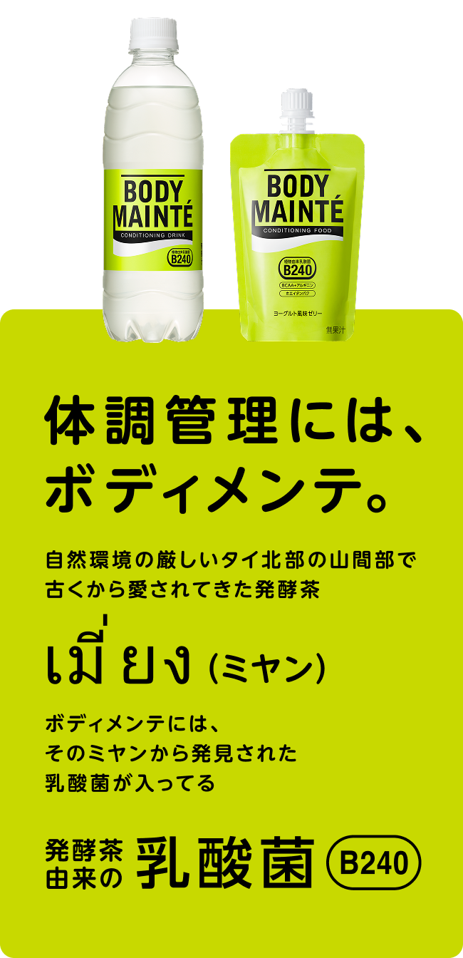 体調管理には、ボディメンテ。自然環境の厳しいタイ北部の山間部で古くから愛されてきた発酵茶ミヤン。ボディメンテには、そのミヤンから発見された乳酸菌が入ってる。発酵茶由来の乳酸菌B240