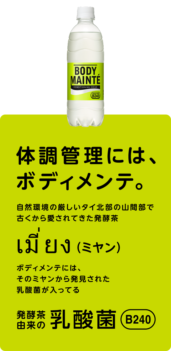 体調管理には、ボディメンテ。自然環境の厳しいタイ北部の山間部で古くから愛されてきた発酵茶ミヤン。ボディメンテには、そのミヤンから発見された乳酸菌が入ってる。発酵茶由来の乳酸菌B240